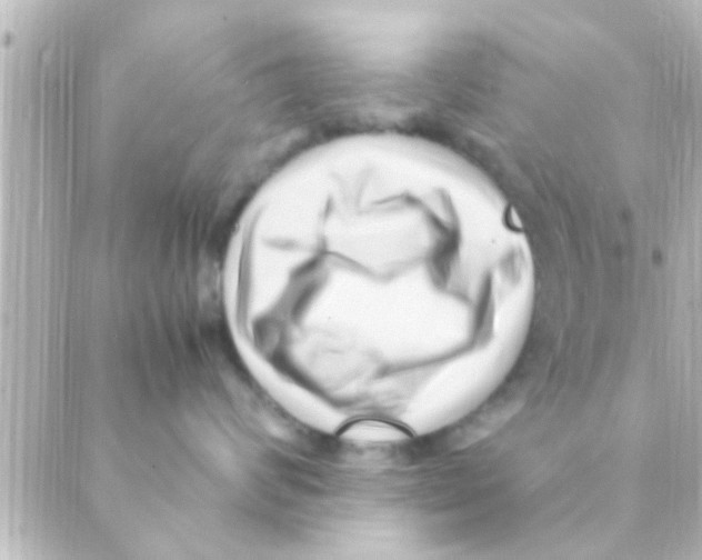 X0000088660624200706221637