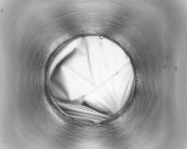 X0000088660630200706221636