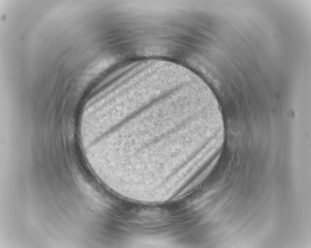 X0000088660631200706221636