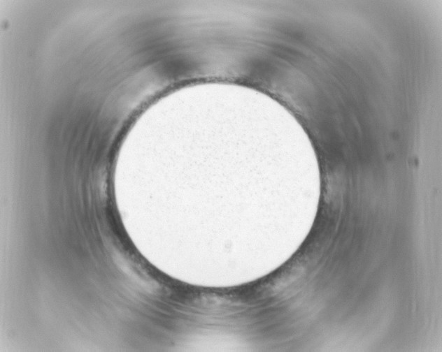 X0000088660632200706221636