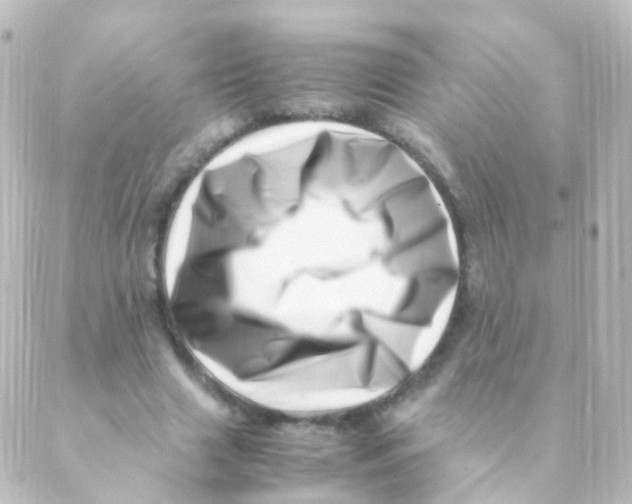 X0000088660633200706221636