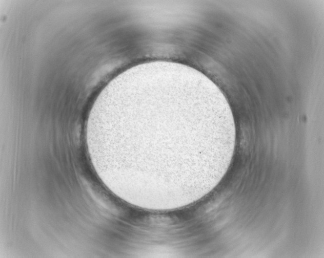 X0000088660636200706221636