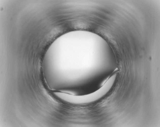 X0000088660637200706221636