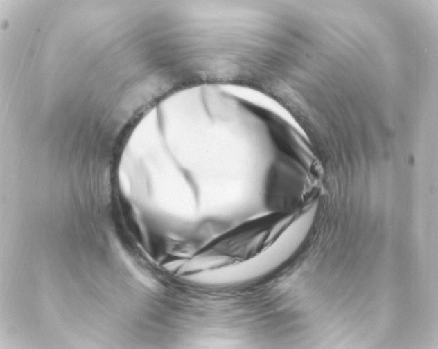 X0000088660638200706221636
