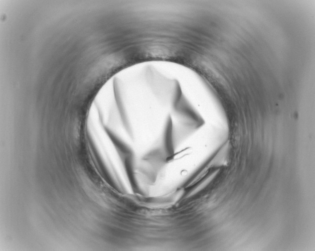X0000088660639200706221636