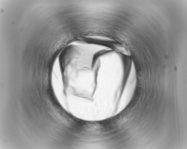 X0000088660642200706221636