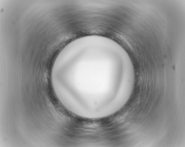 X0000088660643200706221636