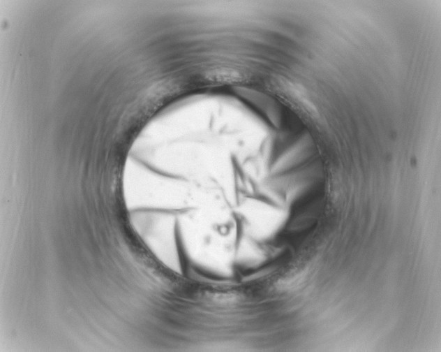 X0000088660645200706221636