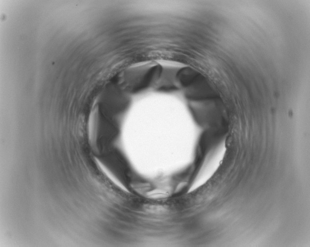 X0000088660649200706221636