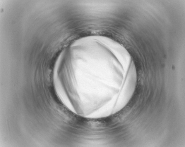 X0000088660650200706221636