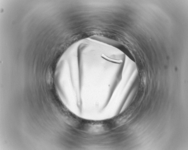 X0000088660651200706221636