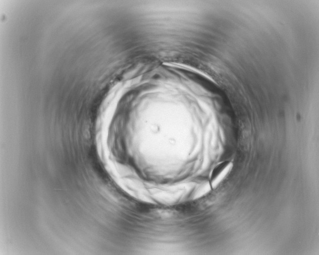 X0000088660654200706221636