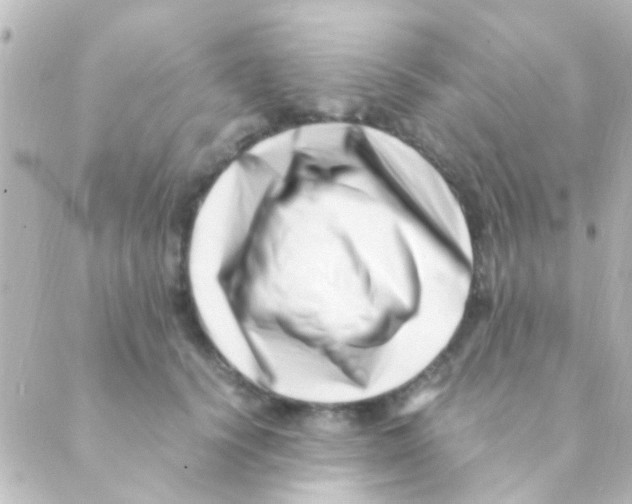 X0000088660656200706221636