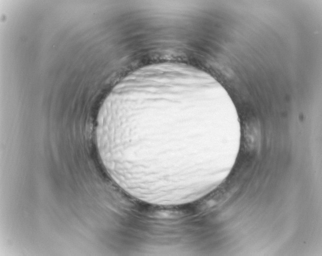 X0000088660657200706221636