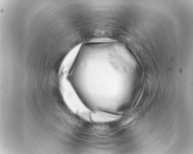 X0000088660659200706221636