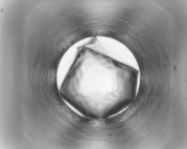 X0000088660660200706221636