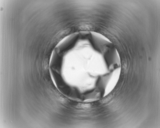 X0000088660665200706221637