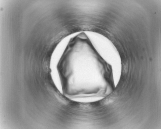 X0000088660666200706221637