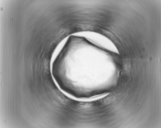 X0000088660667200706221637