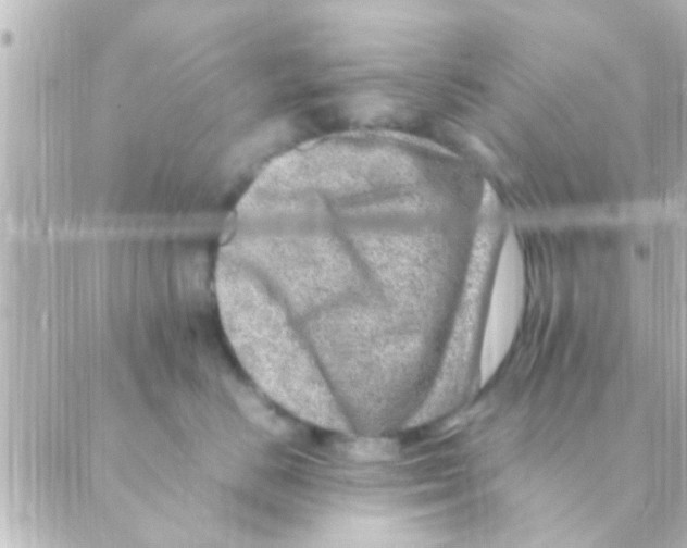 X0000088660670200706221637