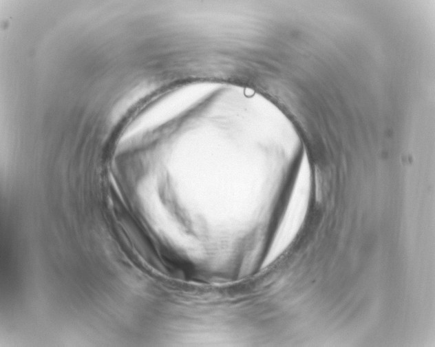 X0000088660675200706221636