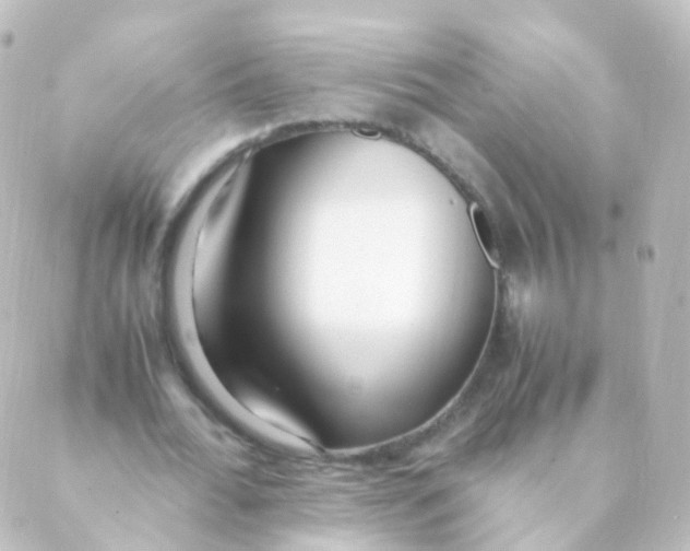 X0000088660676200706221636