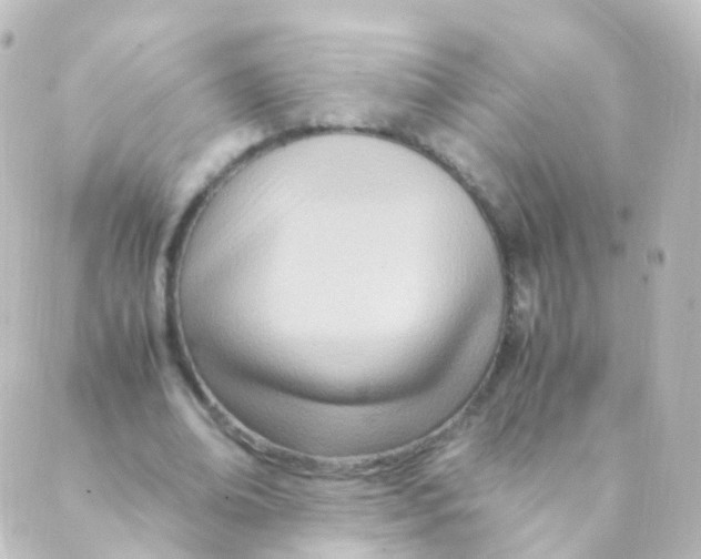 X0000088660678200706221636