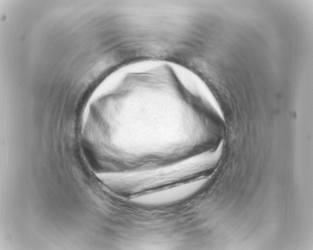 X0000088660679200706221636