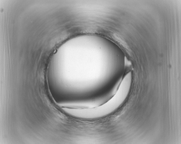 X0000088660681200706221636