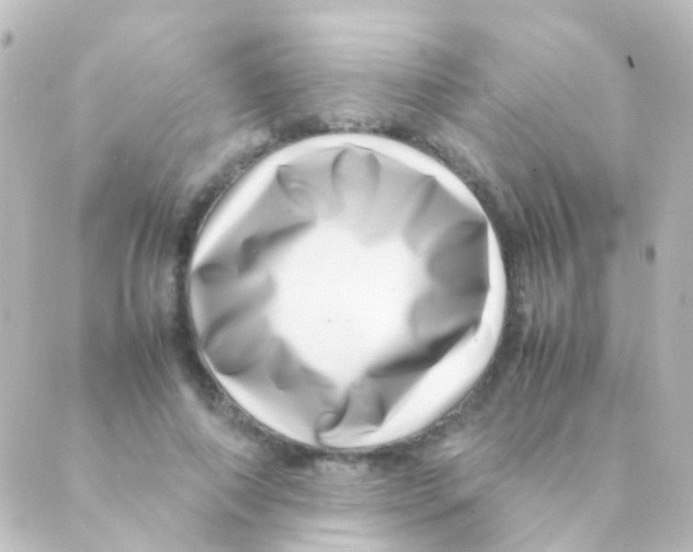 X0000088660690200706221636