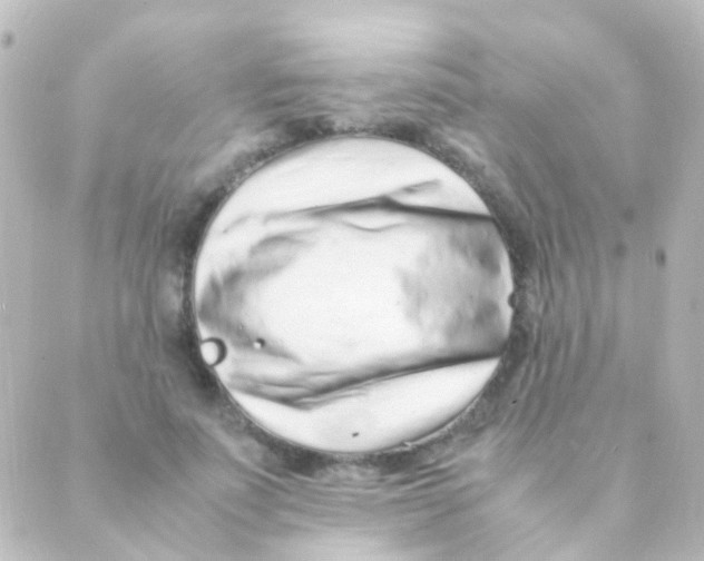 X0000088660691200706221636