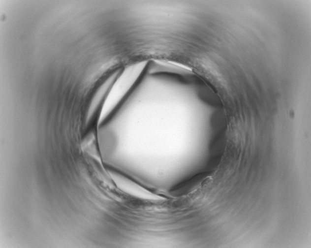 X0000088660692200706221636