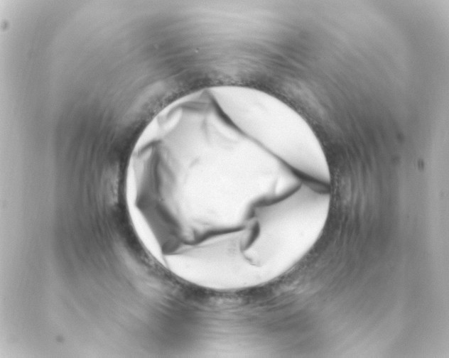 X0000088660694200706221636
