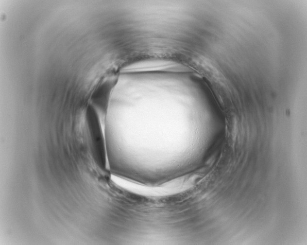 X0000088660696200706221636