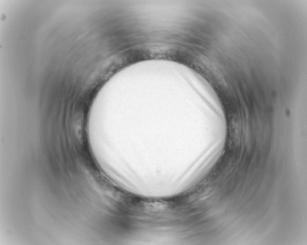 X0000088660698200706221635