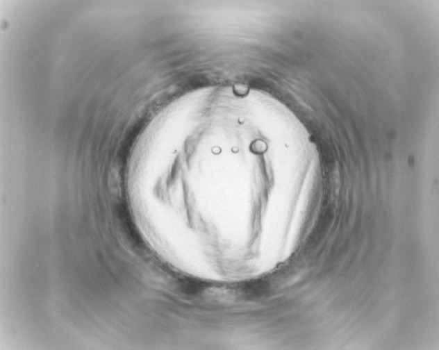 X0000088660699200706221635