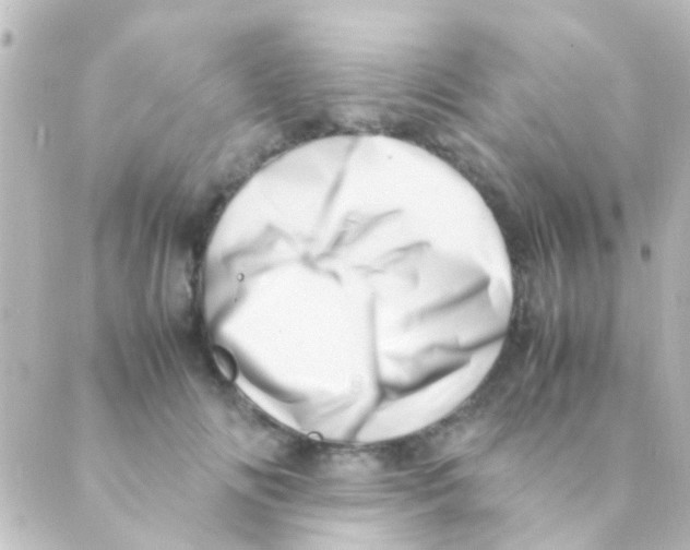 X0000088660702200706221635