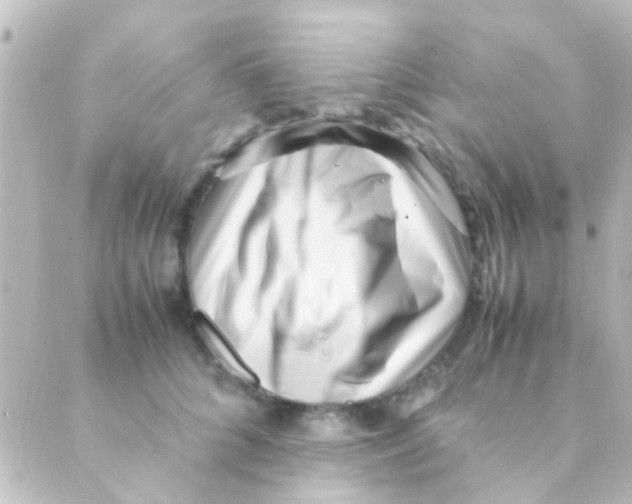 X0000088660704200706221635