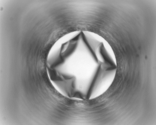 X0000088660706200706221635