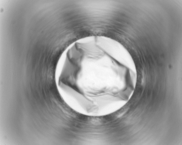 X0000088660710200706221635