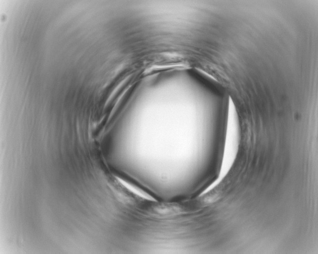 X0000088660712200706221635