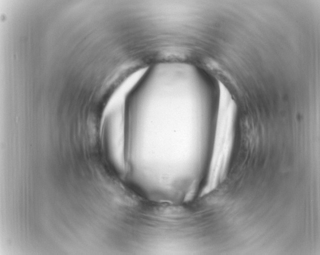 X0000088660716200706221635