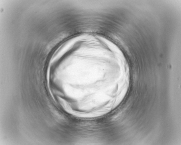 X0000088660721200706221634
