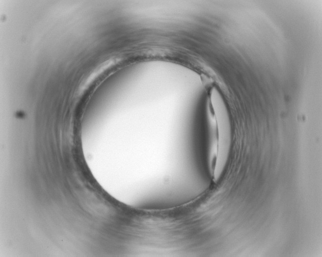 X0000088660722200706221634