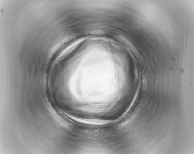 X0000088660725200706221634