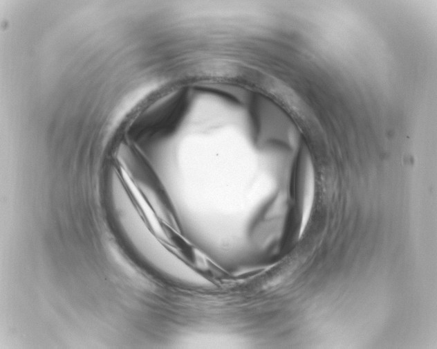 X0000088660726200706221634