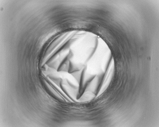 X0000088660727200706221634