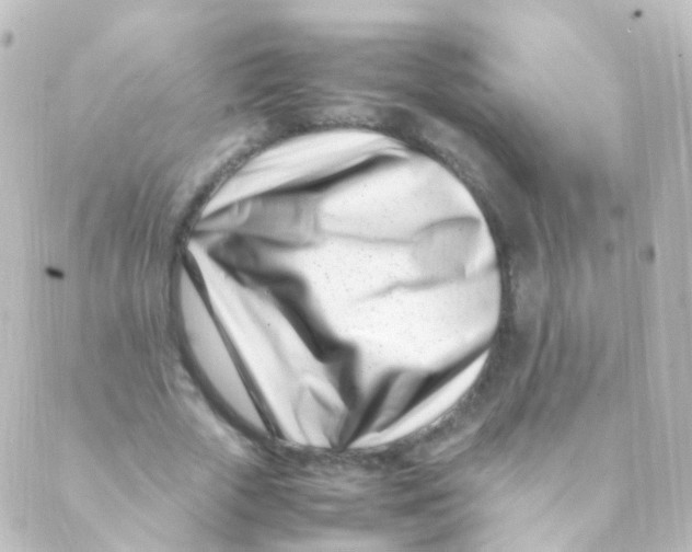 X0000088660729200706221634