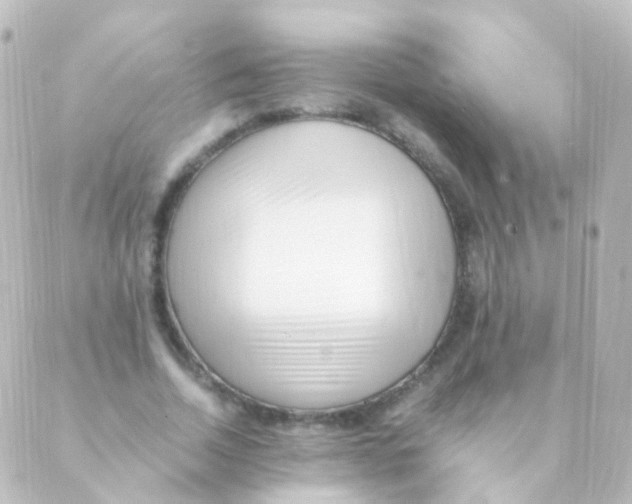 X0000088660730200706221635