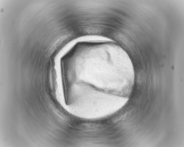 X0000088660733200706221635